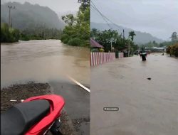 Banjir dan Pohon Tumbang Tutup Trans Sulawesi di Mamuju, Pemukiman Warga Juga Kebanjiran