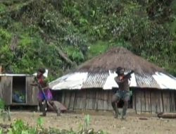KKB Papua Makin Brutal, Serang Petugas, Satu Petinggi Tewas