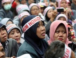 Untuk Pak Jokowi, Dengarlah Saran dari Honorer Ini