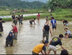 Tondok Bakaru Village Festival, Serunya Tangkap Ikan di Sawah