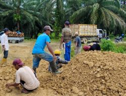 Program Partnership Management Kemitraan, PT Pasangkayu Lakukan Penimbunan Jalan di Desa Pakawa