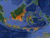 Sekitar IKN Nusantara Rawan Kebakaran Hutan, Hari Ini 75 Titik Panas Terdeteksi