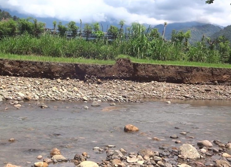 Tanggul Jebol, Area Persawahan Warga Di Polman Kena Dampak - Sulbar Express