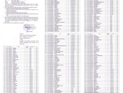 Pengumuman KPU Pasangkayu tentang Penetapan Hasil Seleksi Administrasi PPK untuk Pemilu 2024