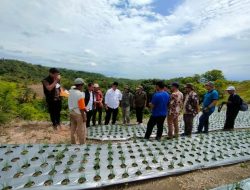 Gubernur Kembali Suplai Bantuan untuk Program Food Estate di Majene