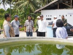 Kinerja BBIP di Majene Mengecewakan, Belanjanya Rp 2,3 Miliar, Hasilnya Cuma Rp 30 Juta per Tahun