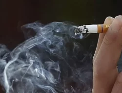 UU Kesehatan Disorot, Ada Ketentuan Tempat Kerja Wajib Sediakan Smoking Room