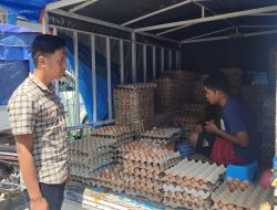 Momen Peringatan Maulid Nabi, Harga Telur di Majene Tetap Stabil