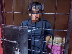 Curi Sapi di Mamuju, Pemuda Ini Ditangkap Polisi