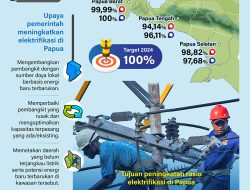 Rasio Eletrifikasi di Papua