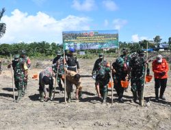 Tanam Jagung di Pasangkayu, Danrem: Ini Program Ketahanan Pangan Kasad