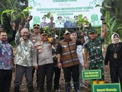 Danrem 142 Tatag Bersama Forkopimda Tanam Pisang Cavendish di Lahan Kodim