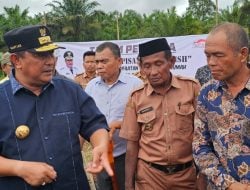 Makin Diminati Warga, Bahtiar Hadiri Tanam Pisang Cavendish di Pasangkayu