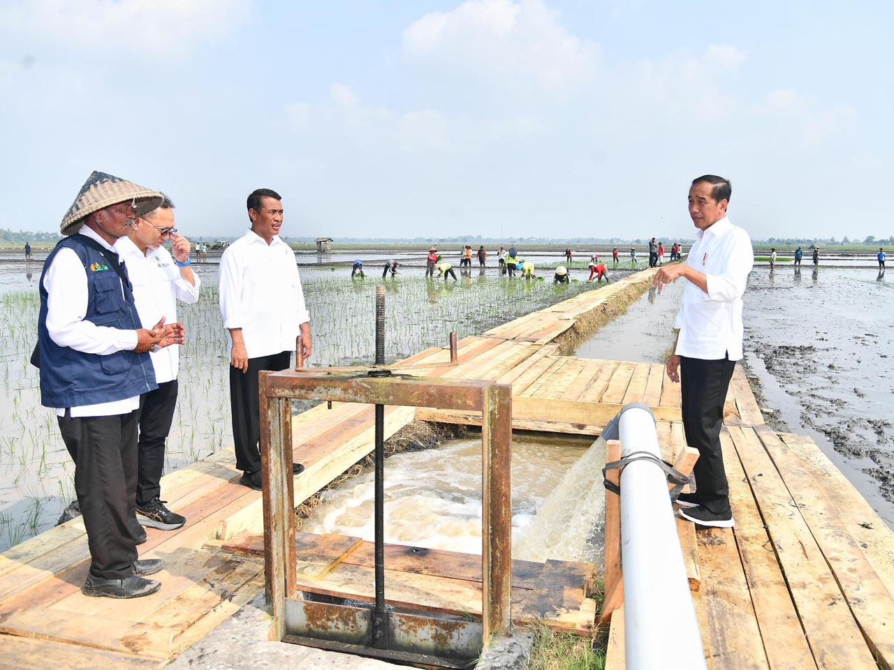 Mentan Amran Dampingi Presiden Akselerasi Pompanisasi di Lampung.