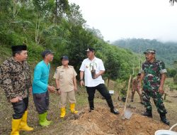 Bahtiar Akan Anggarkan Satu Juta Bibit Durian Musangking untuk Warga Sulbar