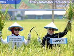 Ketua DPRD Sulbar Tekankan Peran Pemerintah Pusat dalam Panen Raya Mamuju