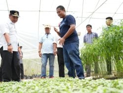 Bahtiar Dorong Sulbar Miliki Brand Sendiri atas Produk Perkebunan