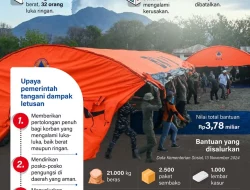 Penanganan Dampak Letusan Gunung Lewotobi