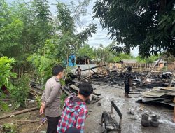 Kebakaran di Campalagian Polman, Dua Rumah Hangus dan 10 Kambing Tewas Terpanggang