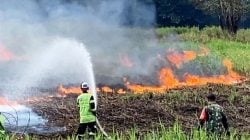 Kebakaran hutan dan lahan.