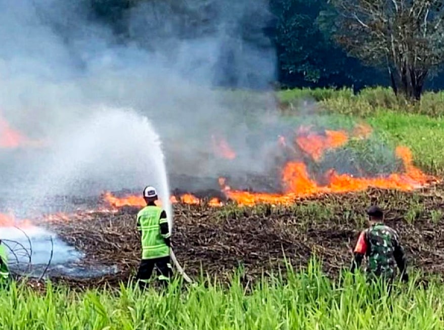 Kebakaran hutan dan lahan.