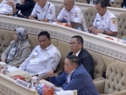 Wagub Salim Mengga Mengurai Kondisi Sulbar dalam Forum Komisi II DPR