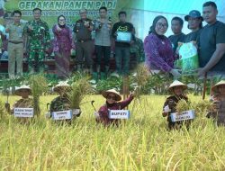 Bupati Komitmen Fokus Kembangkan Sektor Pertanian