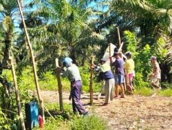 Jalan Diblokir Perusahaan, Akses ke SDN Siparappe Lariang Tertutup