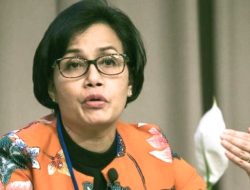 Penerimaan Pajak Hingga Mei 2025, Turun Dibanding Tahun Sebelumnya