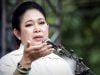 Pengoplos Beras Harus Ditindak Tegas