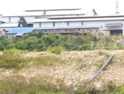 Gubernur Sulbar Pertanyakan Pengelolaan Limbah PT. Palma, DLH Pasangkayu Sebut Ada Surat Peringatan